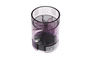 Viola_con-retina 1